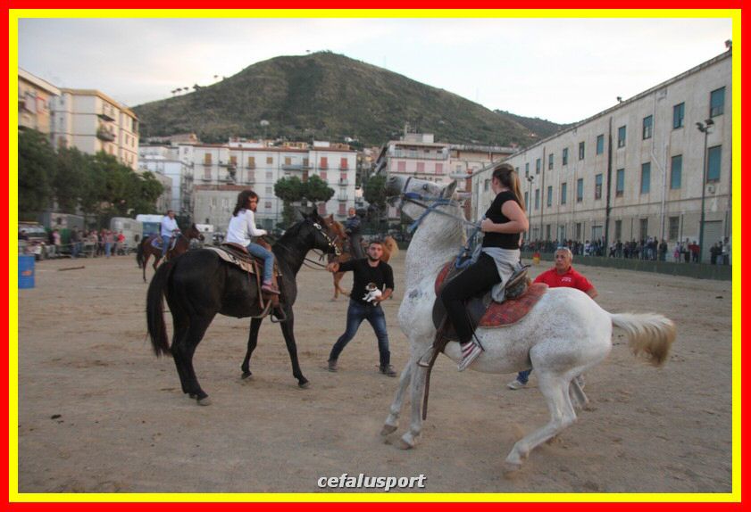161106 equestre 160_tn.jpg
